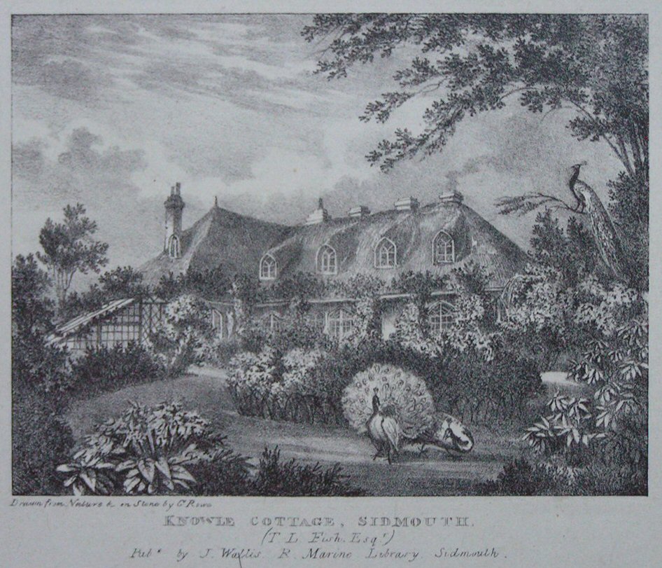 Lithograph - Knowle Cottage, Sidmouth (T.L.Fish, Esqr.) - Rowe